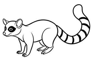 Minimal Ringtail