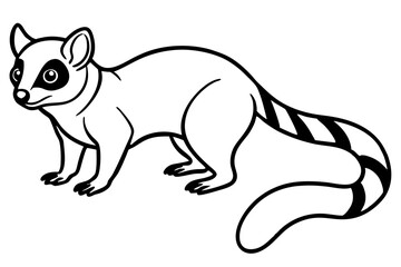 Minimal Ringtail