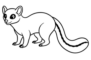 Minimal Ringtail