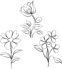 Elegant Line Art Floral Set Three Black Outline Flowers Botanical Illustration