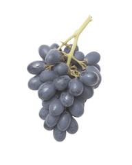 Fototapeta premium Fresh Purple Grapes Cluster on White Background with Natural Details