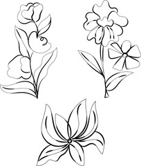 Three Elegant Black Line Art Flowers Botanical Illustration