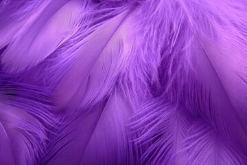 Detailed purple feathers background texture fluffy plumage abstract elegant design