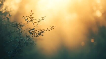 a close up of a plant with a blurred background