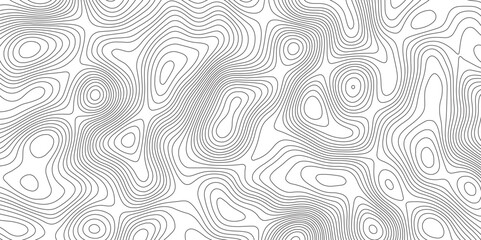 Fototapeta premium Abstract Topographic contour map. Vector cartography illustration. Abstract lines background. Line topography map contour background concept of a conditional geography scheme and the terrain path.