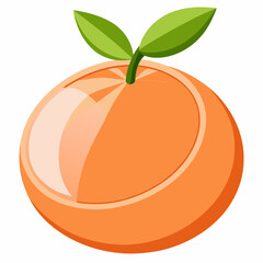 vector illustration of an orange