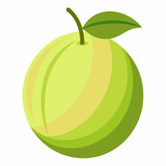 vector illustration of an apple