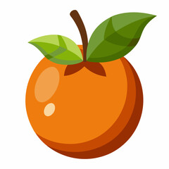 vector illustration of an orange