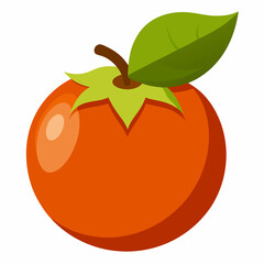 vector illustration of an orange