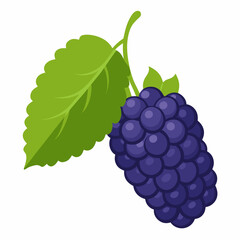 Fototapeta premium bunch of grapes