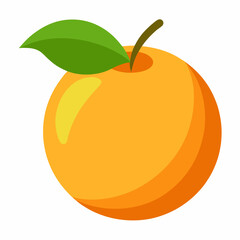 orange fruit vector illustration