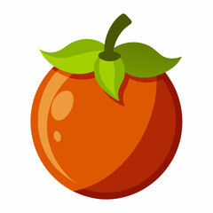 vector illustration of an orange fruit
