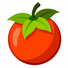tomato vector illustration