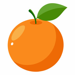 vector illustration of an orange