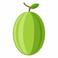 vector illustration of a green watermelon