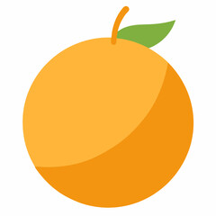 vector illustration of an orange