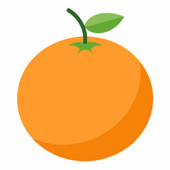 vector illustration of orange fruit