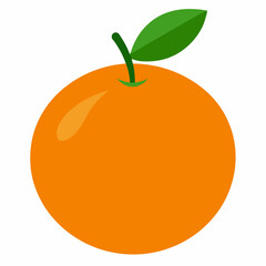 vector illustration of orange fruit