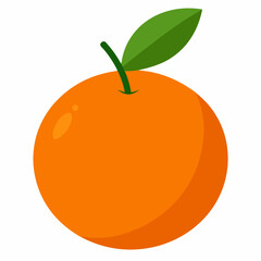 vector illustration of an orange