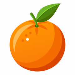 vector illustration of orange fruit