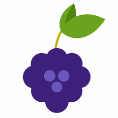 vector illustration of a raspberry