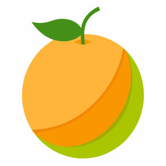 vector illustration of an orange fruit