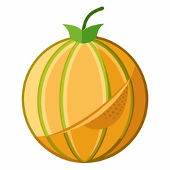 vector illustration of an orange fruit