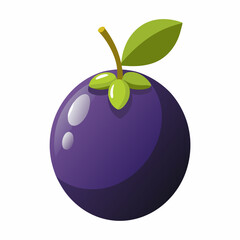 plum on a white background