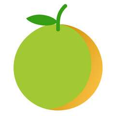 vector illustration of a green apple