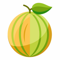 orange fruit vector illustration