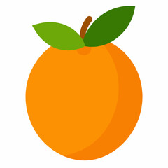 vector illustration of an orange fruit