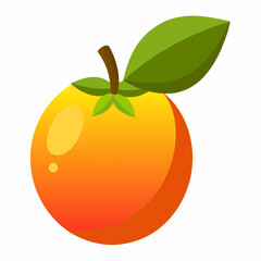 vector illustration of an apple