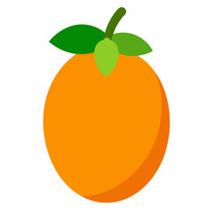 orange fruit vector illustration