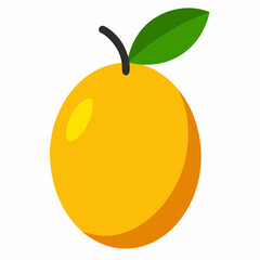 vector illustration of an orange