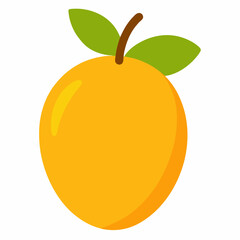 vector illustration of an orange