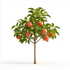A vibrant fruit tree thriving with ripe peaches, showcasing nature's beauty and abundance in a fresh and lush setting.