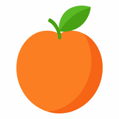 vector illustration of an apple