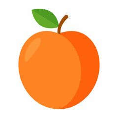 vector illustration of an apple