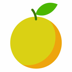 vector illustration of an apple