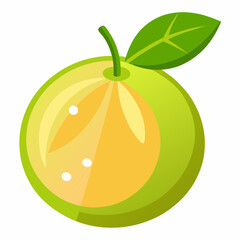 vector illustration of an orange fruit