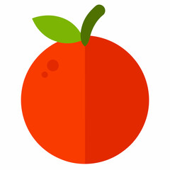 vector illustration of an apple