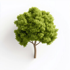 A vibrant green tree with a lush canopy, symbolizing life and nature's beauty.