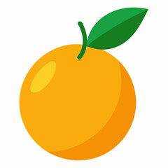vector illustration of an orange