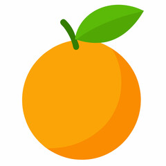 orange fruit vector illustration
