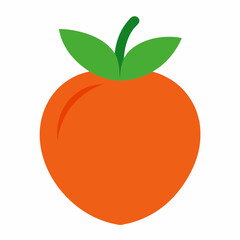vector illustration of an orange fruit