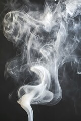 Abstract White Smoke Swirls on Black Background
