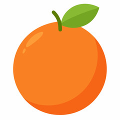 vector illustration of orange fruit
