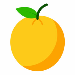 vector illustration of an orange