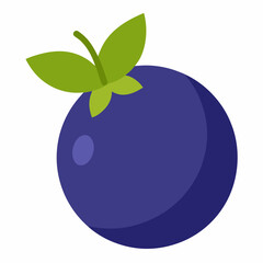 vector illustration of an apple