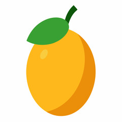 vector illustration of an orange